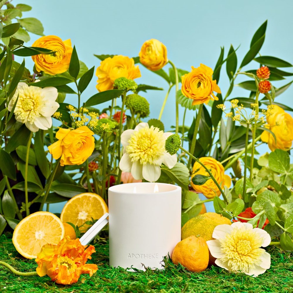 Lemongrass and Neroli 2-Wick Candle